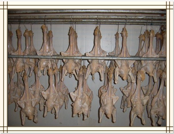 鸡肉烘干库房现场 鸡肉烘干库房现场